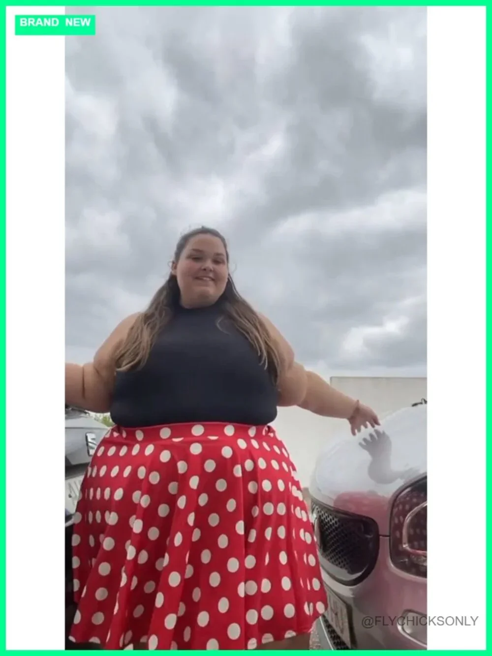 Women's Plus Size Pleated Skater Skirt High Waist A-Line